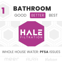 1 BATH: PFSA Issues (Better)